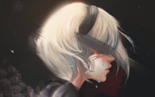 洛克王国小小飞儿技能表，洛克王国小小飞儿和龙之飞儿