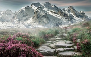 魔兽世界黑市怎么买，魔兽世界黑市有什么好东西