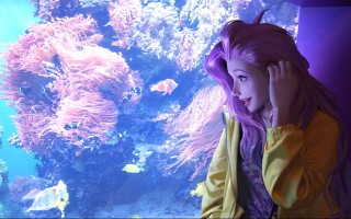 麻布仔大冒险pc能玩吗，麻布仔大冒险 ps4？